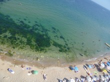 Пляж. Слева - пляж "Сириуса". Справа - чужие пляжи