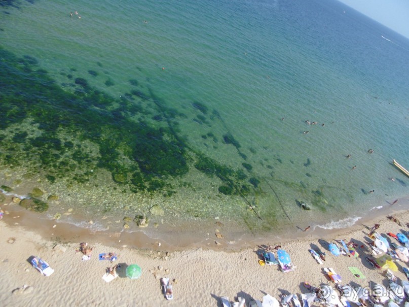 Пляж. Слева - пляж "Сириуса". Справа - чужие пляжи