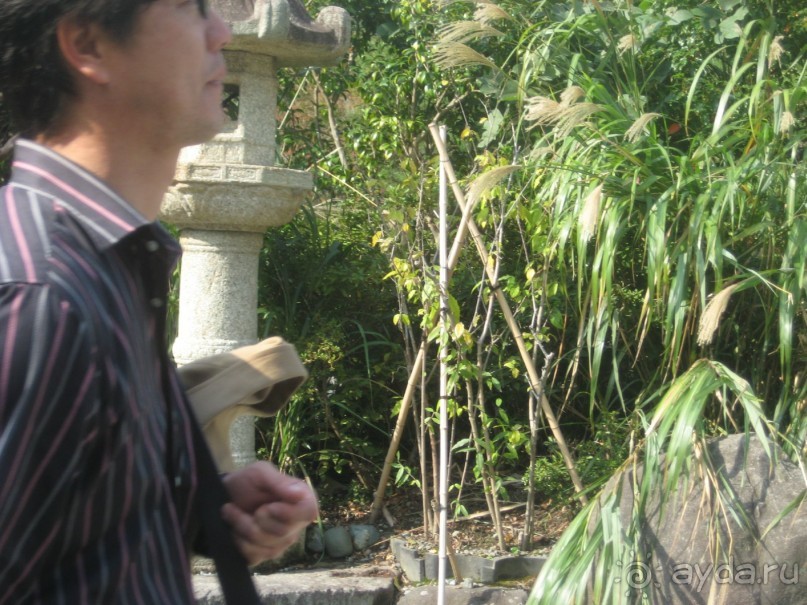 Япония.Большой Будда в Камакуре.