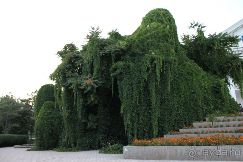 Пансионат отличный - всем советую!