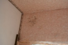 Отдых в Агараки Абхазия