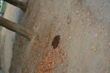 Отдых в Агараки Абхазия