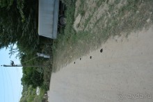 Отдых в Агараки Абхазия