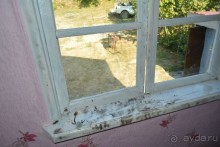 Отдых в Агараки Абхазия