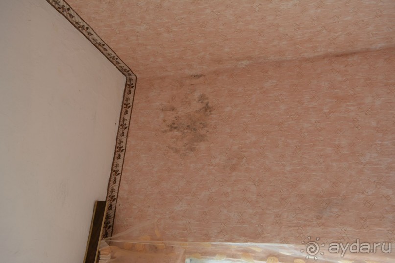 Отдых в Агараки Абхазия