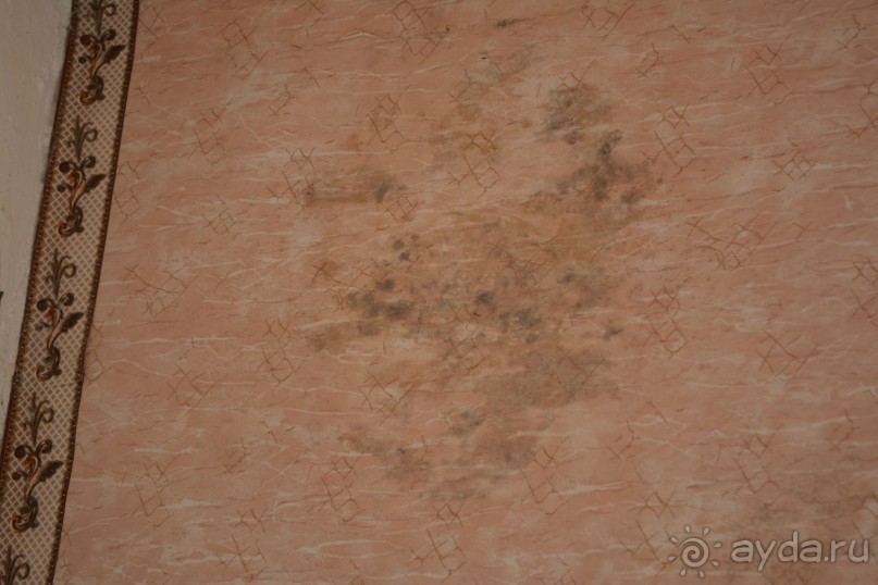 Отдых в Агараки Абхазия