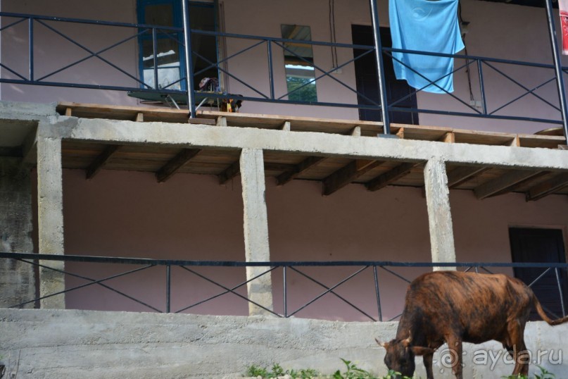 Отдых в Агараки Абхазия