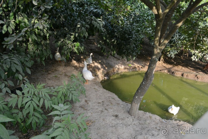 Отдых в Агараки Абхазия