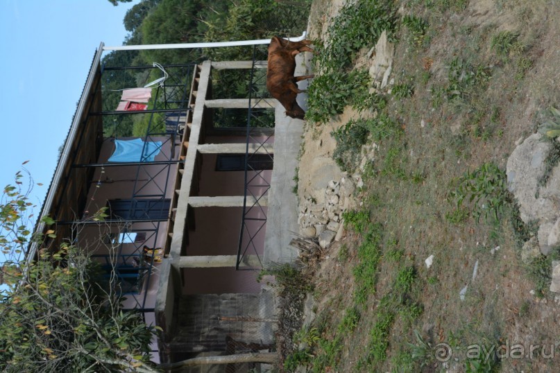 Отдых в Агараки Абхазия