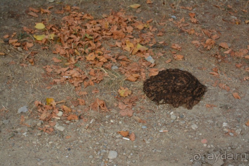 Отдых в Агараки Абхазия