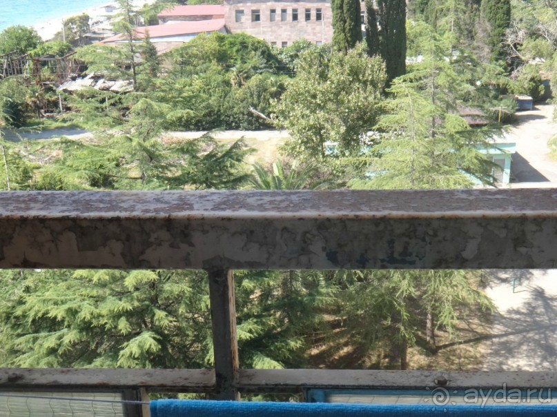 фото Энергетик