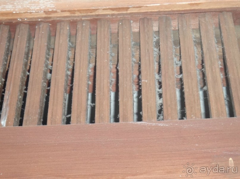 фото Энергетик