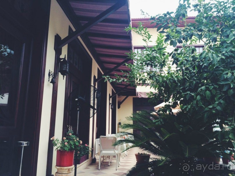 Наконец-то нашел свое место в Анталии!