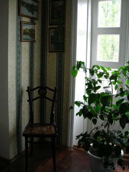 Музей Сведомских – первый частный музей Пермского края