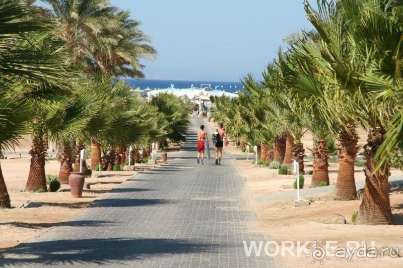 Незабываемый отдых!!!