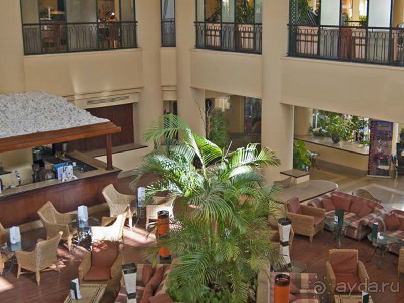 Отель Hilton Hurghada Resort, Хургада 