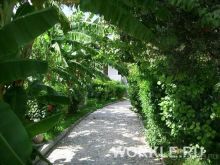 Отель Oasis, о. Родос, Греция