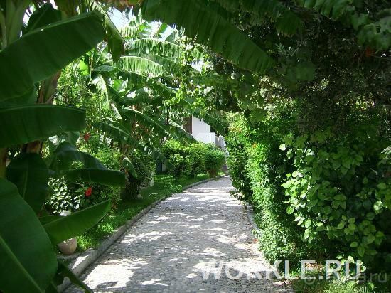 Отель Oasis, о. Родос, Греция