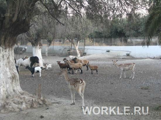 Отель Oasis, о. Родос, Греция