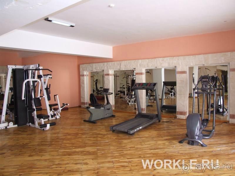 Отдыхали в отеле в начале августа. Отдых в Египте изначально... 