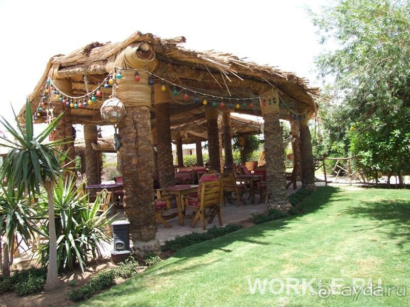 Отдыхали в отеле в начале августа. Отдых в Египте изначально... 