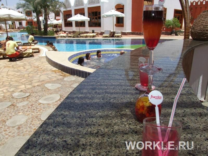 Отдыхали в отеле в начале августа. Отдых в Египте изначально... 