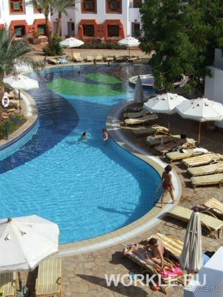 Отдыхали в отеле в начале августа. Отдых в Египте изначально... 