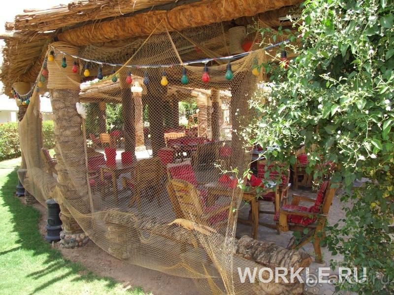 Отдыхали в отеле в начале августа. Отдых в Египте изначально... 