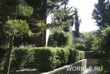 Кипр в июле