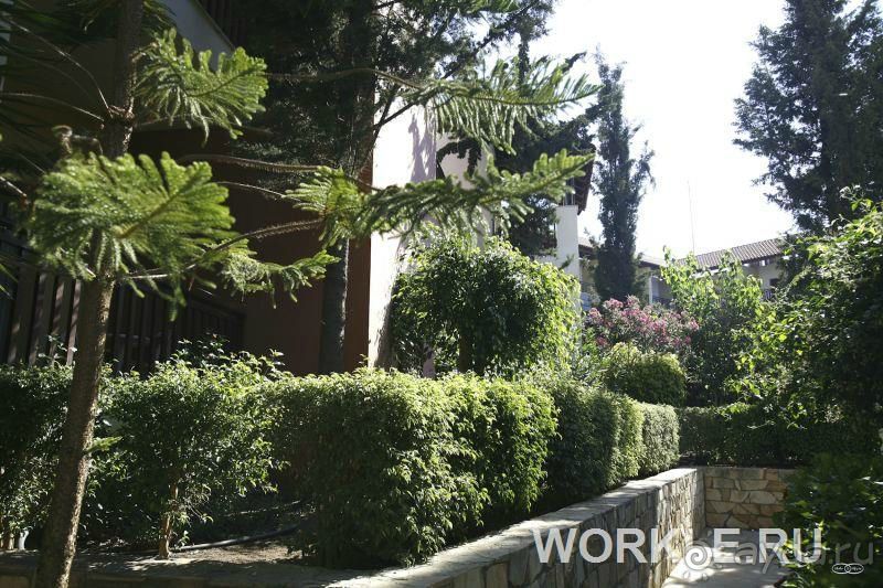 Кипр в июле