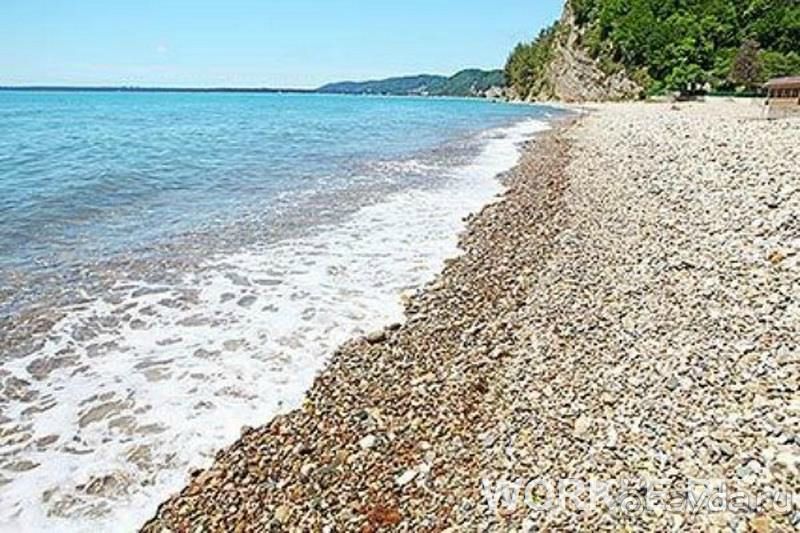 Отличный семейный отдых в Золотой Бухте.