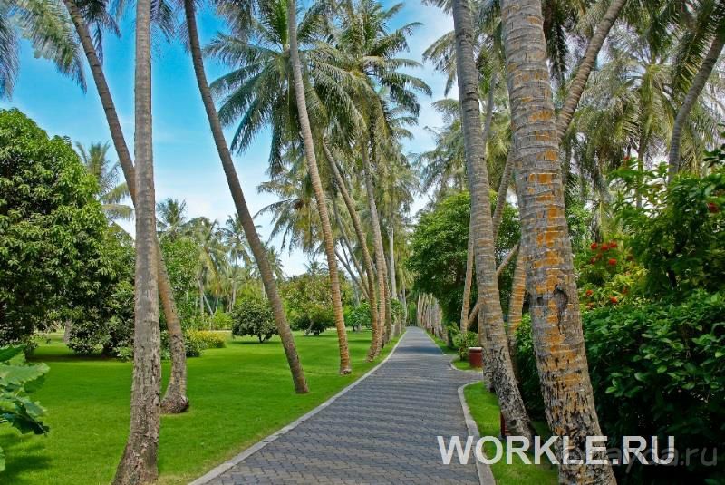 Sun Island Resort 5*