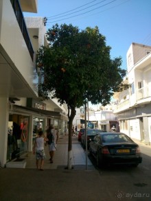 фото Sanyati Safari Lodge