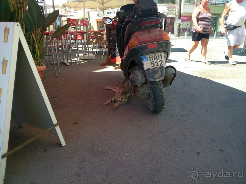 фото Sanyati Safari Lodge