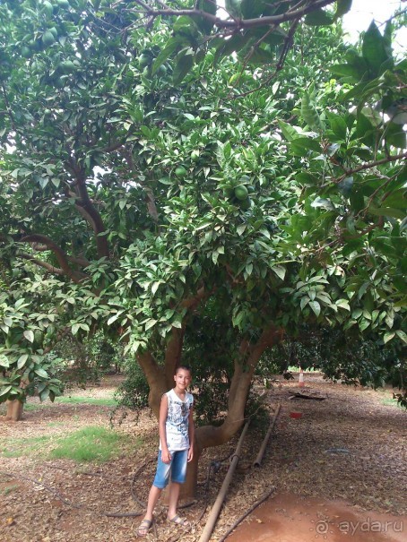 Прекрасный отдых!