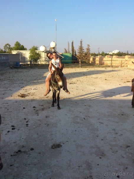 Прекрасный отдых!