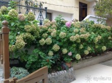 Альбом отзыва "Осень в Созополе. Сентябрь  2015 год"