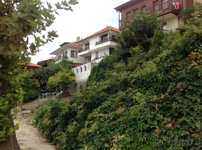 Множество домов утопает в зелени