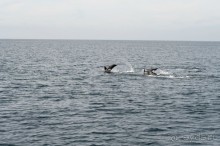 Куда хочется вернуться...