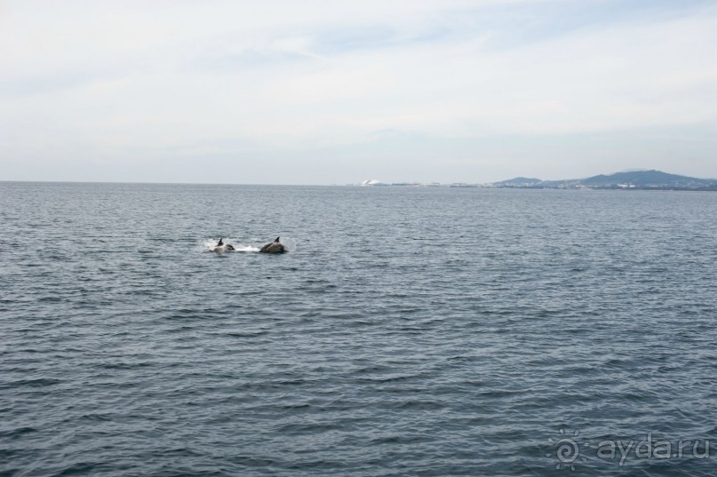 Куда хочется вернуться...