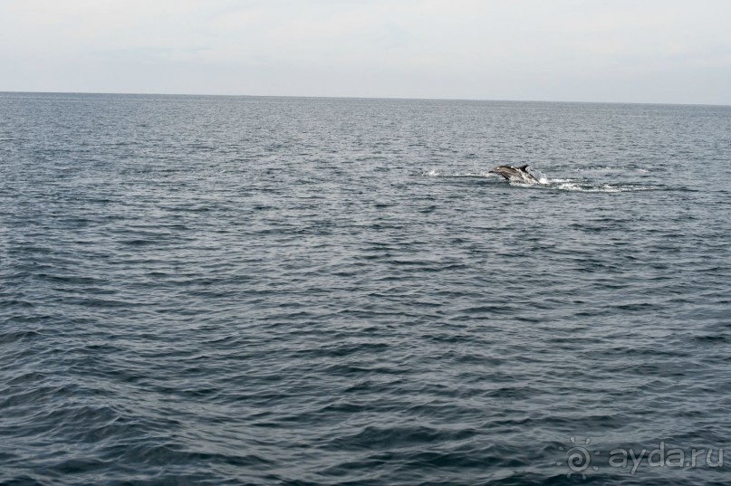 Куда хочется вернуться...