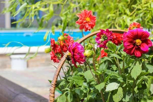 Гостиный двор Вояж в Крыму - лучший семейный отдых с детьми!