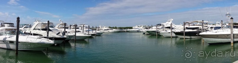 Отдых в США.