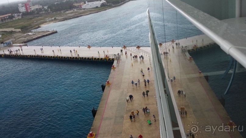 Отдых в США.