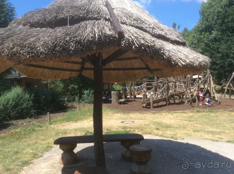 В Пражском зоопарке детям можно все )