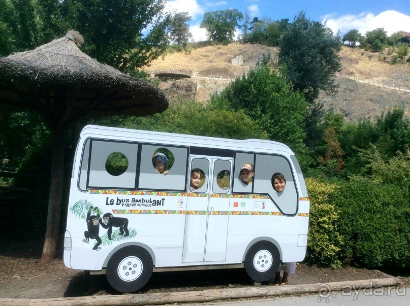 В Пражском зоопарке детям можно все )