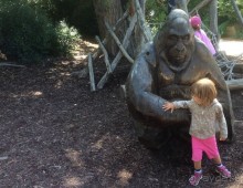 В Пражском зоопарке детям можно все )