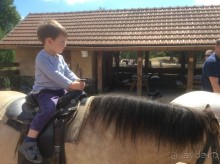 можно и на лошадках...