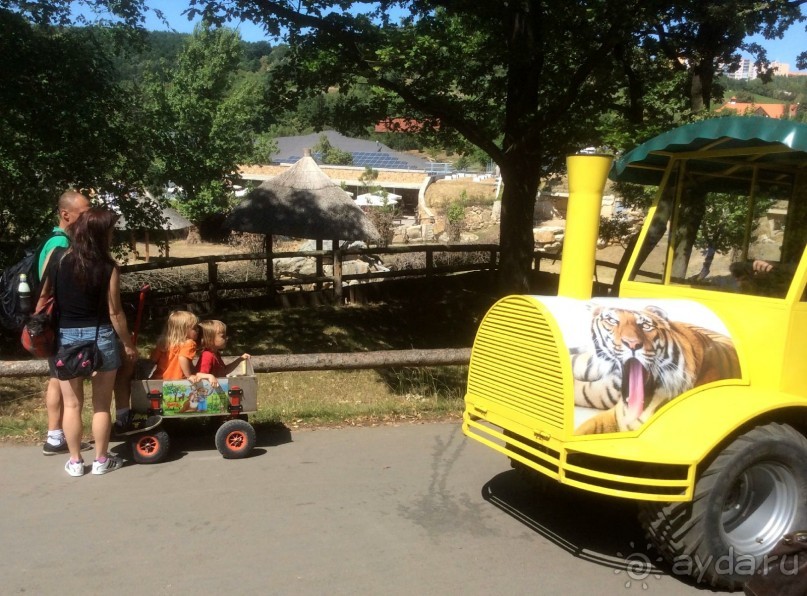 В Пражском зоопарке детям можно все )