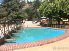 В Пражском зоопарке детям можно все )